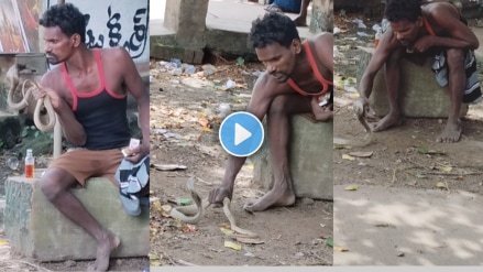 Drunk Man Pets Cobra Leaves Internet Stunned Viral