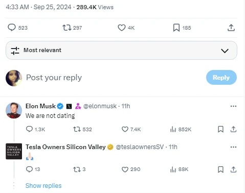 Elon musk comment