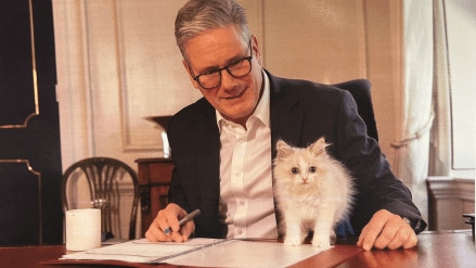 First photo of British Prime Minister Keir Starmer's new cat