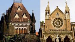 Bombay High Court : उच्च न्यायालयाचा मुंबई विद्यापीठाला दणका, सिनेटच्या निवडणुका उद्याच घेण्याचे आदेश