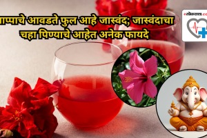 Health Benefits of Hibiscus Tea