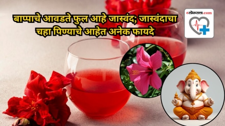 Health Benefits of Hibiscus Tea