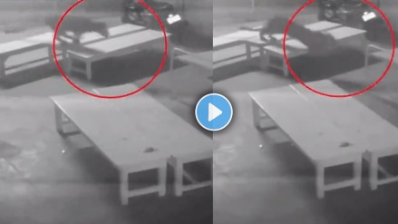 Leopard Spotted in the hospital basement in Rajasthan cctv footage goes viral on social media