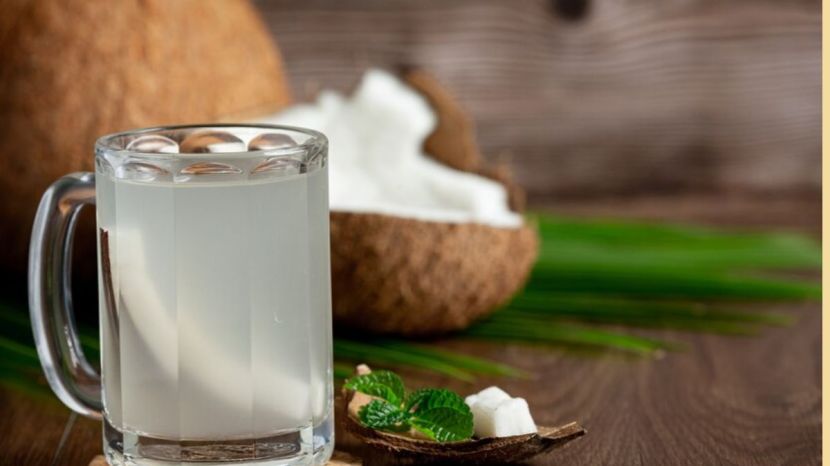 Malai coconut water how to choose coconut with rich cream know how to recognize 