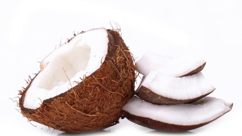 Malai coconut water how to choose coconut with rich cream know how to recognize 