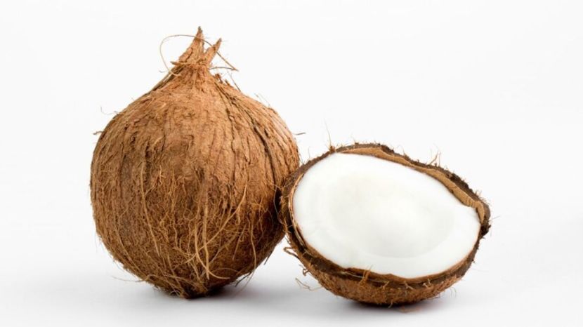 Malai coconut water how to choose coconut with rich cream know how to recognize 