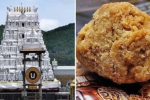 tirupati temple animal fat in laddoos row