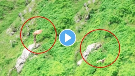 Shocking video young woman went to the mountain to make the reel and slipped and fell down