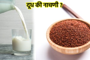 Milk Vs. Ragi: Which Ingredient Has More Calcium?