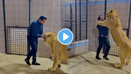 Shockimg video Pakistani man hugged a pet lioness video goes viral