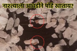 MP: Maggot Found Crawling Inside Poha Packet In Jabalpur