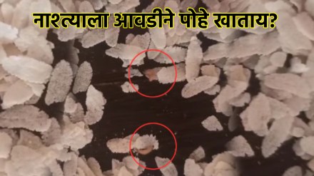 MP: Maggot Found Crawling Inside Poha Packet In Jabalpur