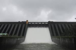 Koyna Dam, rainfall, Satara, water inflowed Koyna Dam,