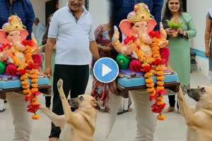 dog became emotional during Bappa's visarjan