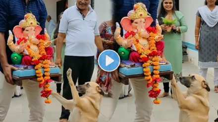 dog became emotional during Bappa's visarjan