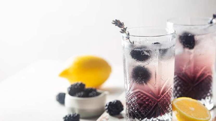 blackcurrant and chia seeds water benefits