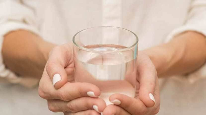 blackcurrant and chia seeds water benefits