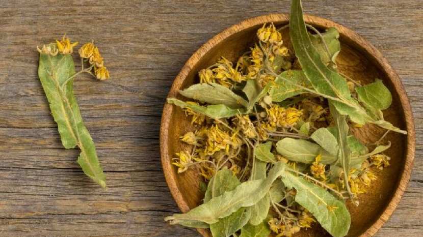 herbal pan masala safe to quit tobacco gutkha addiction 