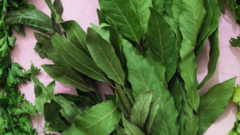 herbal pan masala safe to quit tobacco gutkha addiction 