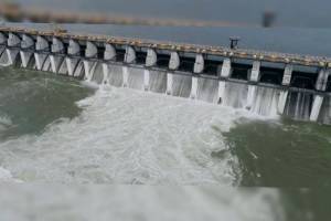 heavy rain in Isapur dam area water level increased 7 gates opend alert issued