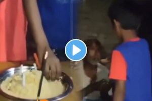 Little boy teach us to be happy in whatever you have emotional video