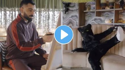 Virat Kohli draw Puma Cat sketch video viral