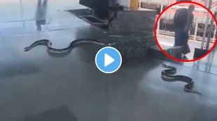 Huge snake enters railway station