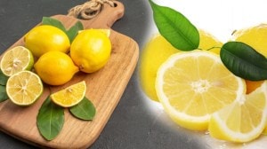 Lemon: पित्ताची समस्या दूर करण्यासाठी आहारात लिंबाचं सेवन करा अन् आराम मिळवा