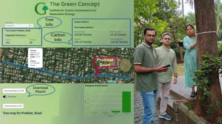 green concept develop application