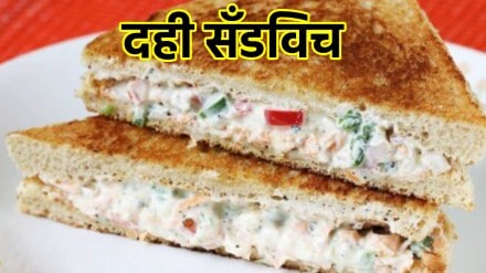 Sandwich sandwich recipe curd sandwich recipe in marathi