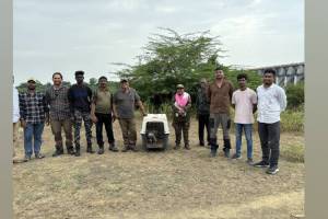 Citizens found a large bird lying in a dead state in Dabha area on Bembhala dam of Yavatmal