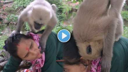 The monkey sat on the woman's body watching these video