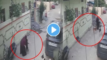 Shocking video Brave Mother Saved his Kid from Stray Dogs in Karimnagar Telagana