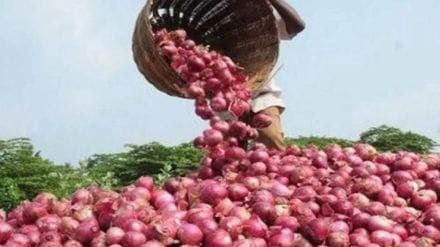 Onion export decision delayed for three days due to technical reasons