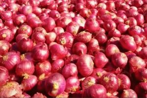 Verification of onion purchase transactions from NAFED through third party mechanism