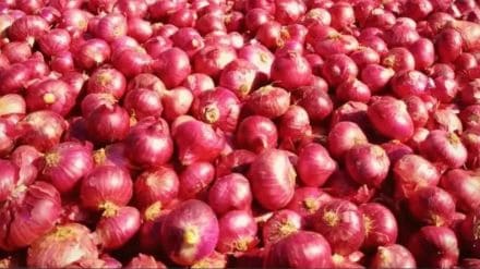 senior officials of railways to provide more than 60 rakes twice for onion transport