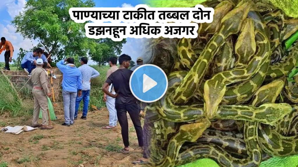 Python Video Rescue Operation Uncovers 25 pythons In Etawah Water Tank