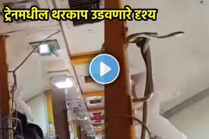 Snake found in Jabalpur Mumbai Garib Rath Express