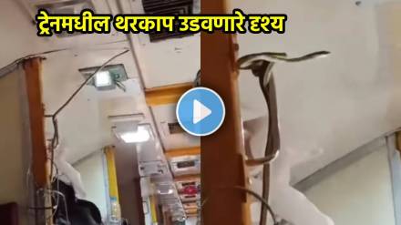 Snake found in Jabalpur Mumbai Garib Rath Express