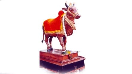 An eight-foot wooden bull history of Tanha Pola in Nagpur