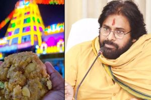 Tirupati Laddu Controversy Pawan Kalyan