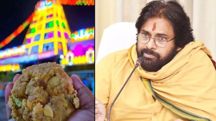 Tirupati Laddu Controversy Pawan Kalyan