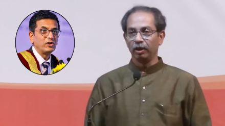 Uddhav Thackeray VS CJI DY Chandrachud