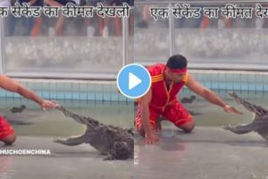 do you know value of one second | a man saved himself from crocodile attack