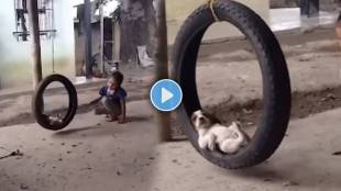 Video Shows puppy and little girl bond