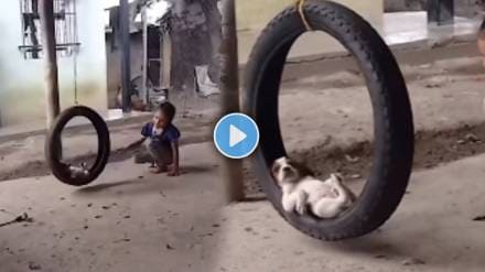 Video Shows puppy and little girl bond