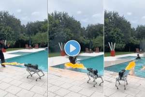 Watch YouTuber IShowSpeed’s new robot dog worth Rs 84 lakh shoots flames at him