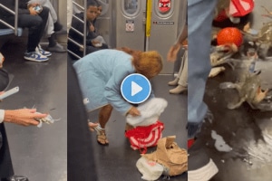 Watch chaos erupts on metro train as live crabs tumble out of woman’s bag