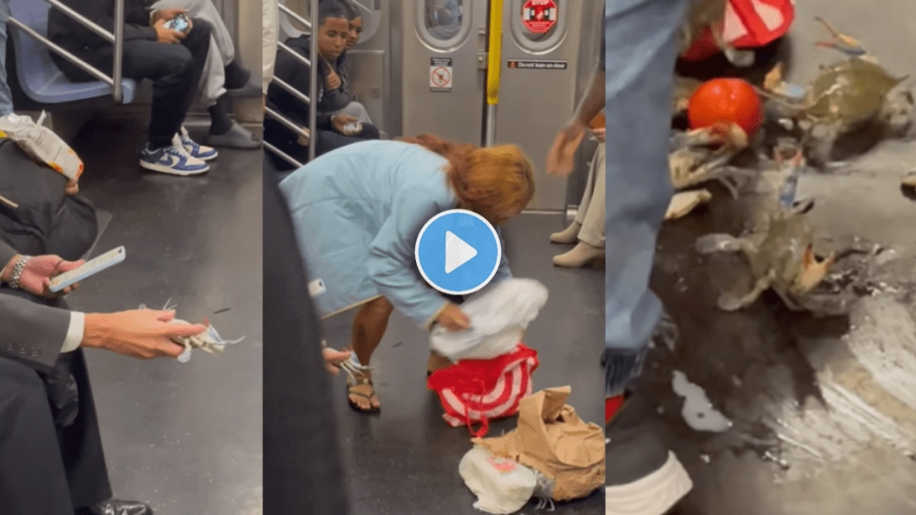 Watch chaos erupts on metro train as live crabs tumble out of woman’s bag