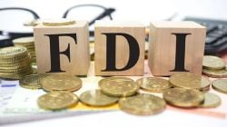 FDI किंवा थेट विदेशी गुंतवणूक म्हणजे काय?